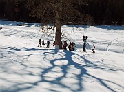 05 L'ombra del grande albero